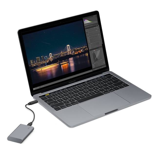 LaCie Mobile SSD Secure 1TB USB-C T4