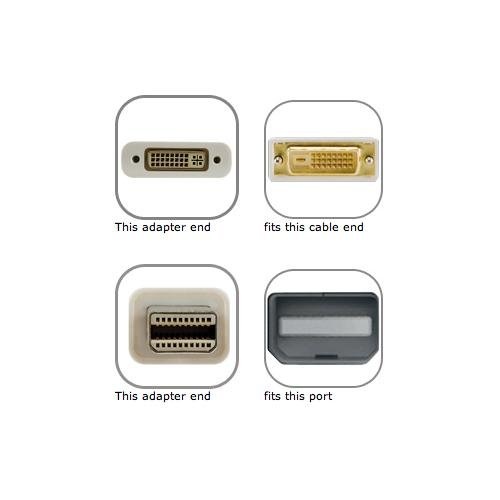 Newer Technology Mini DisplayPort to DVI Adapter T2